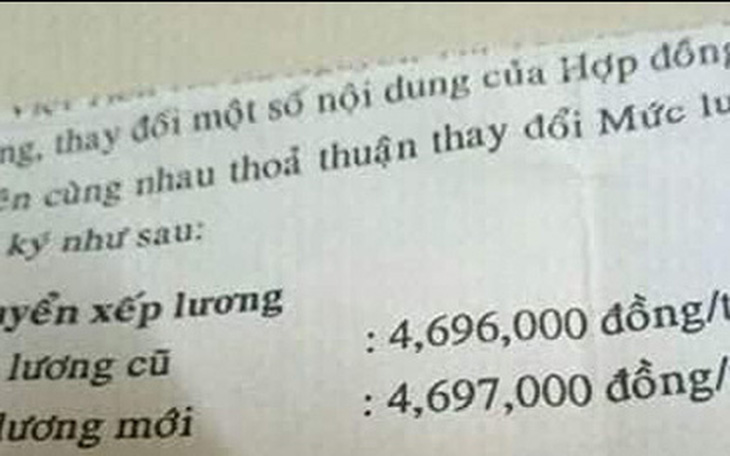 Ảnh vui 30-11: Được lên lương sau một năm làm việc cật lực