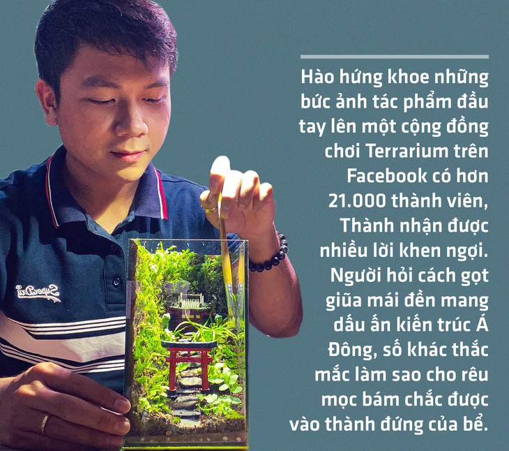 Đem thiên nhiên vào hộp Terrarium - Ảnh 3.