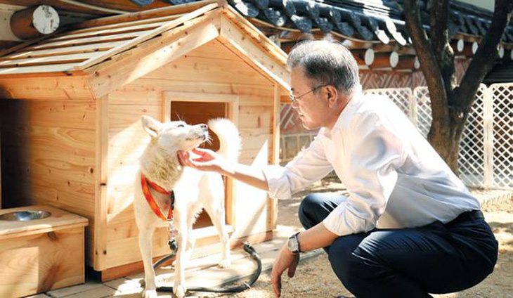 Cựu tổng thống Hàn Quốc sẽ trả chính phủ cặp chó quý Triều Tiên tặng - Ảnh 1.