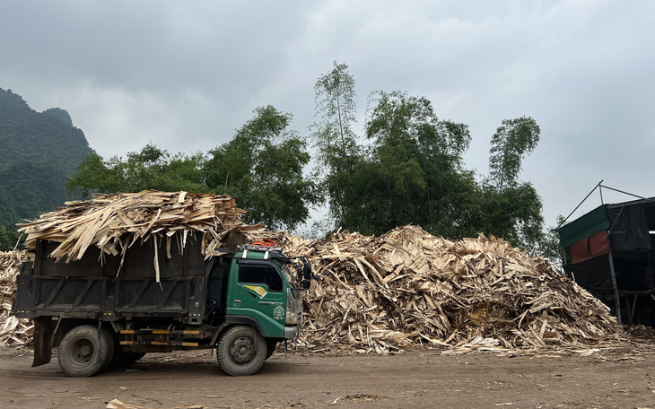 Xuất khẩu đã giảm gần một nửa, doanh nghiệp gỗ còn mệt mỏi với hoàn thuế chậm