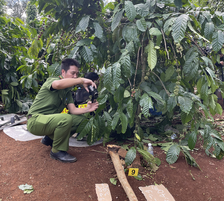 Tạm giữ bảy người trong vụ vu khống công an soi đèn cho giang hồ phá vườn cây - Ảnh 2.