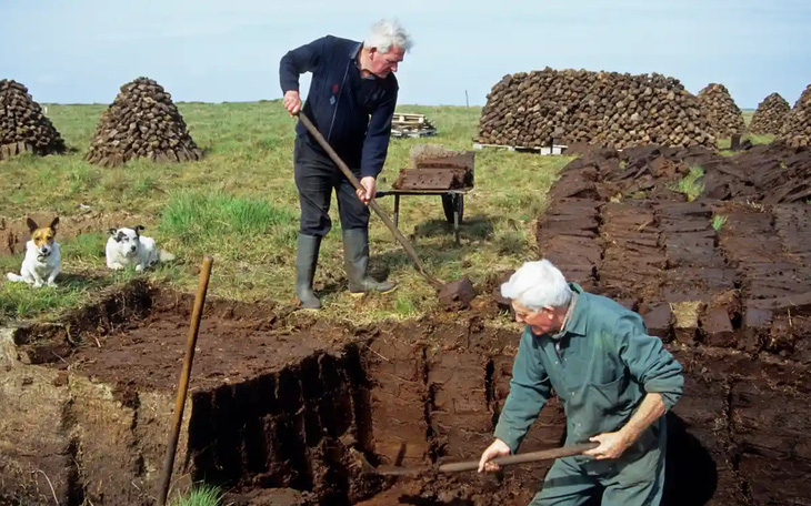 Người Ireland sử dụng lại than bùn để chống rét vì giá nhiên liệu đắt đỏ