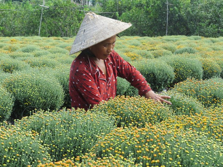 Ngành hoa kiểng rực rỡ bên dòng Sa Giang - Ảnh 6.