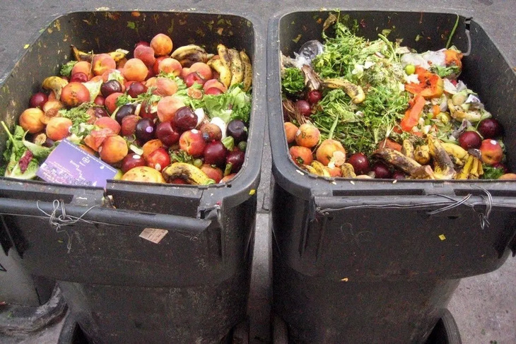Mỹ: Vận dụng khoa học vào việc chống lãng phí thực phẩm - Ảnh 1.