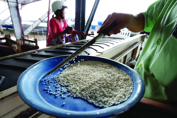 Việt Nam nhập khẩu gạo: Chuyện thường tình - Ảnh 1.