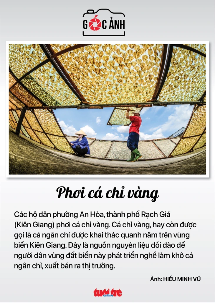 Tin tức sáng 23-12: Một năm phạt 2,8 triệu người vi phạm giao thông; Sắp khai thác thử metro TP.HCM - Ảnh 6.