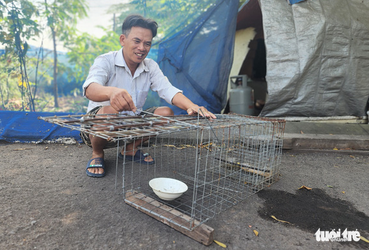 Người dân đặt bẫy bắt được ‘thủ phạm ăn cắp gà là con mèo rừng quý hiếm - Ảnh 2.