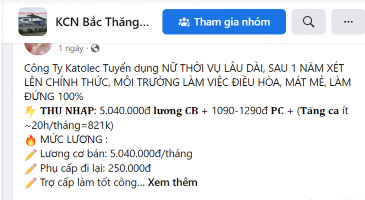 Lao động thời vụ dịp Tết rao đầy, người lao động không màng - Ảnh 2.