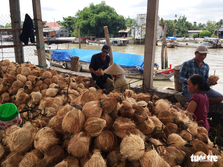 Độc đáo chợ dừa nổi Bến Tre - Kỳ 1: Dừa - thứ gì cũng là tiền - Ảnh 2.