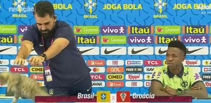 Chú mèo điệp viên phá đám tuyển Brazil ngay trong buổi họp báo - Ảnh 2.
