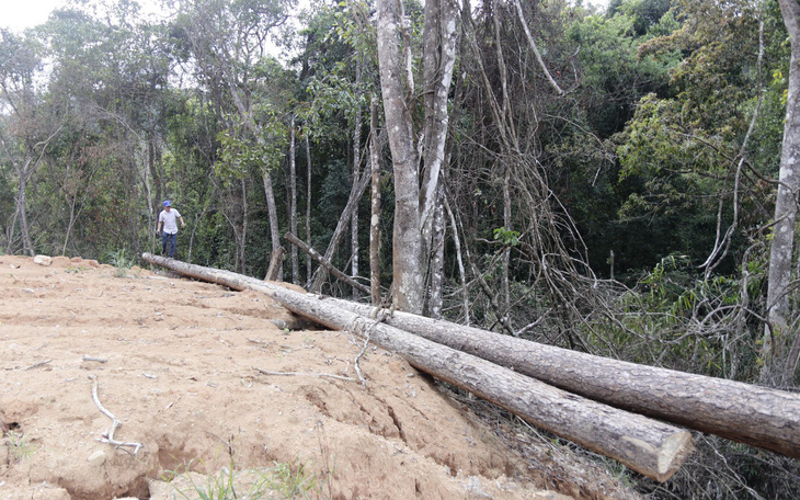 Vụ ngang nhiên ủi gần 16ha rừng: Thêm nhiều diện tích rừng bị phá khi chưa được duyệt