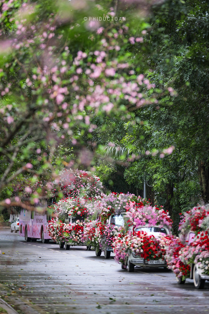 Valentine 2022: Màn tỏ tình bằng 99.999 bông hồng ấn tượng tại Hà Nội - Ảnh 2.