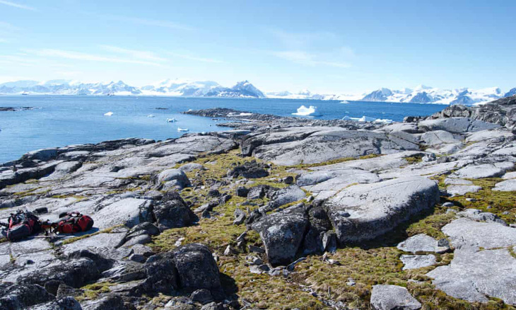 Nam Cực đang bị cây xanh ‘xâm chiếm’ với tốc độ kỷ lục - Ảnh 1.