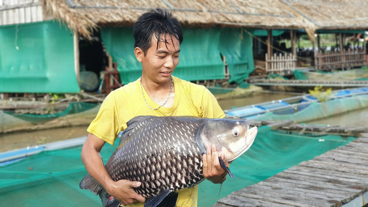 Ấp ủ biến lồng bè thành viện bảo tồn cá hiếm Mekong - Ảnh 3.