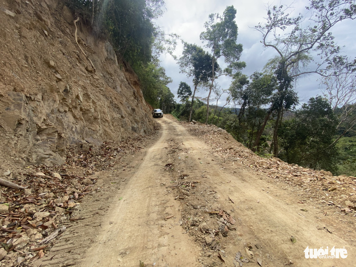 Bộ Tổng tham mưu kiểm tra vụ phá rừng đặc dụng làm đường - Ảnh 3.