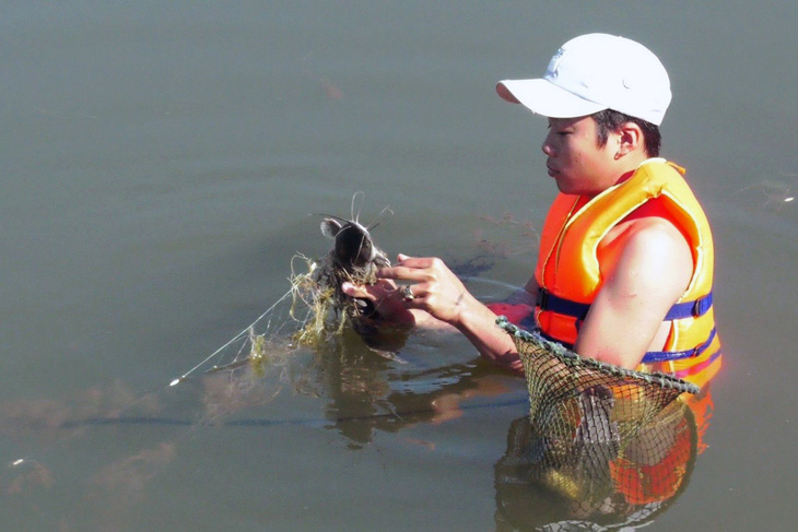 Cá chết lềnh bềnh ở đập Bà Mụ, người dân lo ô nhiễm nguồn nước - Ảnh 2.