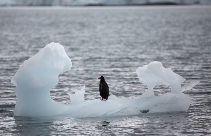 Diện tích băng biển ở Nam Cực giảm xuống mức thấp nhất trong lịch sử - Ảnh 1.