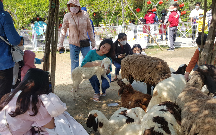 An Giang: Khu du lịch tăng giá vé gấp đôi dịp Tết vì thấy 