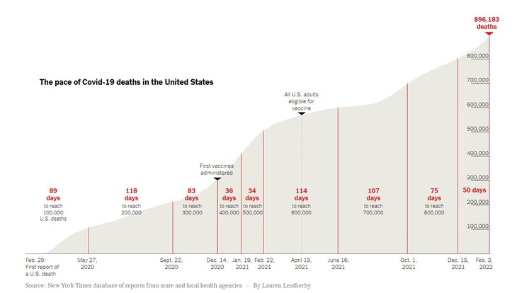Số người chết vì COVID-19 tại Mỹ đã nhiều hơn dân số của 1 bang - Ảnh 2.