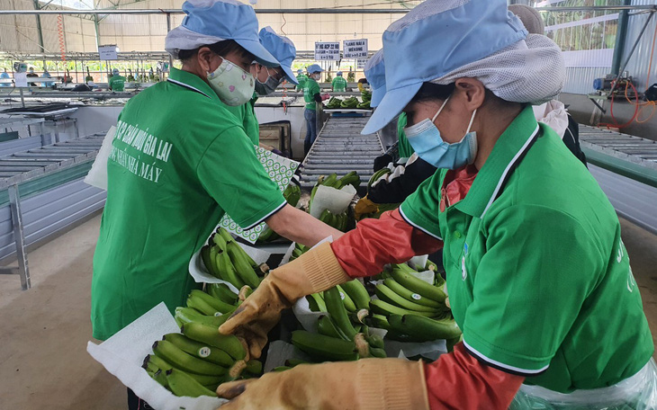 Có giúp nông dân, nông nghiệp mới thay đổi