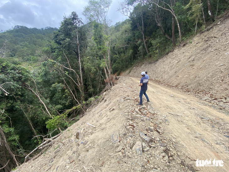 Đề nghị Bộ Quốc phòng điều tra hình sự vụ phá rừng đặc dụng làm đường Trường Sơn Đông - Ảnh 3.