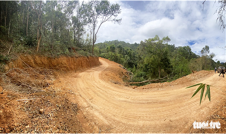 Đề nghị Bộ Quốc phòng điều tra hình sự vụ phá rừng đặc dụng làm đường Trường Sơn Đông - Ảnh 1.