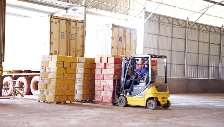 Giải pháp logistics qua cửa khẩu quốc tế Nam Giang - Ảnh 2.