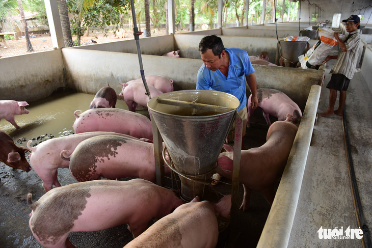 Nông dân lao đao vì giá cả tăng - Ảnh 1.