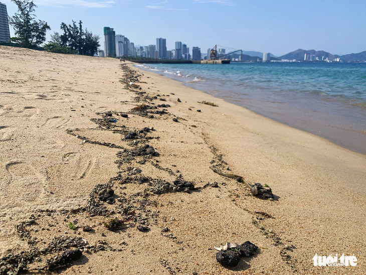 Dầu vón cục dạt vào bãi biển Nha Trang, kéo dài 3km - Ảnh 2.