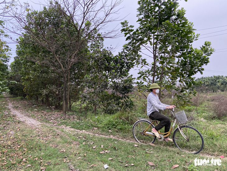 Chuyển đổi hơn 286ha đất ruộng, rừng phòng hộ làm khu đô thị, điện gió - Ảnh 1.