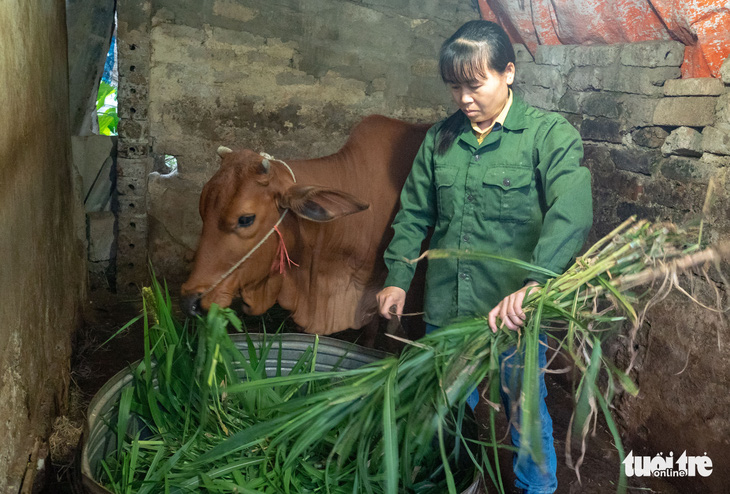 Chương trình Tiếp sức nhà nông hỗ trợ vốn để nông dân nghèo yên tâm ở quê mình - Ảnh 1.