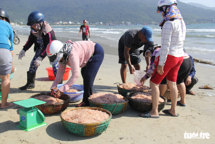 Đà Nẵng giám sát ruốc tươi sau khi phát hiện có trường hợp trộn phẩm màu... cho đẹp - Ảnh 1.