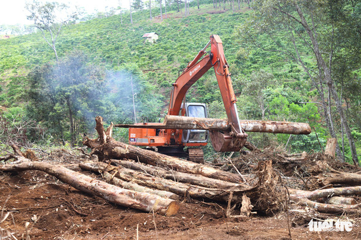 Phó thủ tướng yêu cầu Bộ Công an điều tra, xử lý tình trạng phá rừng ở Lâm Đồng - Ảnh 1.