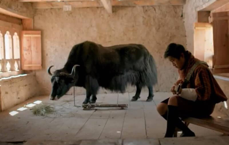Lunana: A yak in the classroom của Bhutan - Điện ảnh tinh khiết ở nơi cao nhất thế giới - Ảnh 7.
