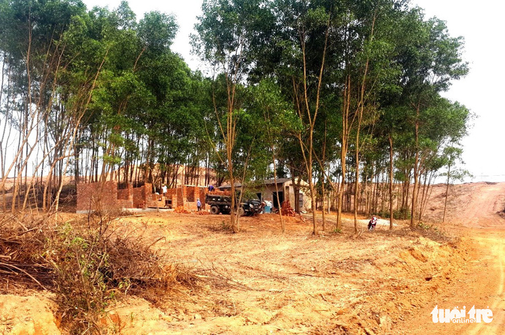 Cải tạo đất, xây công trình trái phép trên rừng phòng hộ - Ảnh 1.