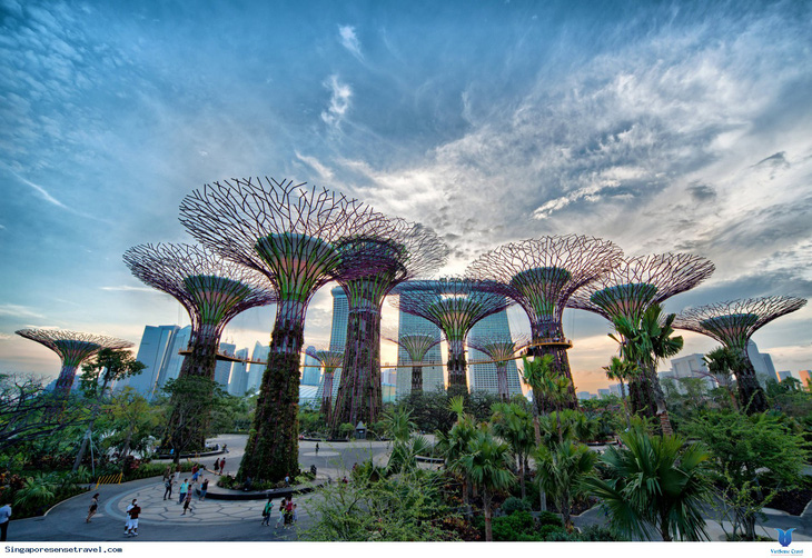 Khám phá tour Singapore 3 ngày 2 đêm tiết kiệm trọn gói từ 8,9 triệu đồng - Ảnh 3.