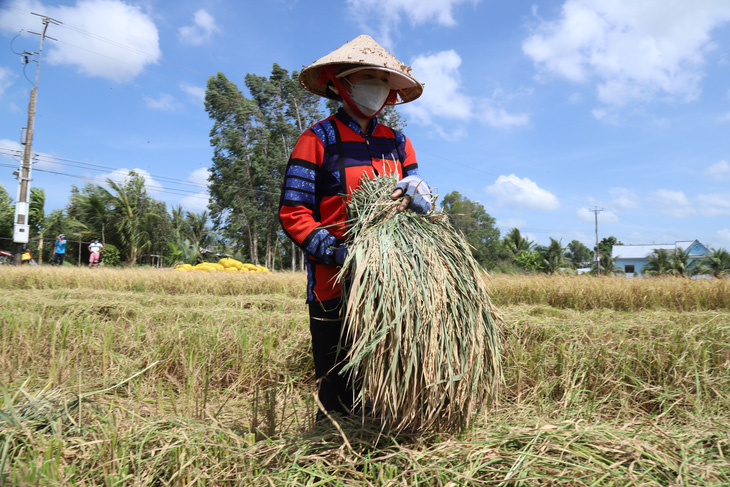 Hỗ trợ tối đa nông dân sản xuất nông nghiệp - Ảnh 2.