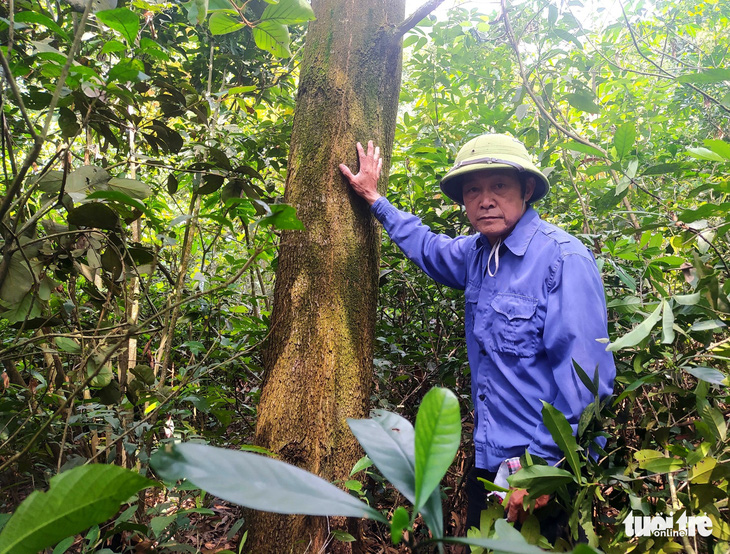 15ha đất rừng bỗng dưng về tay chủ khác dù dân vẫn cầm trong tay sổ đỏ - Ảnh 1.