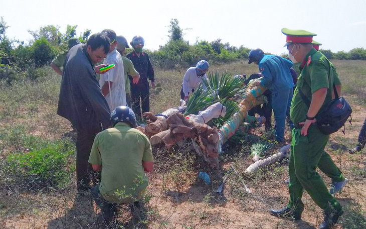 Một viên chức ban quản lý rừng bị nhóm người đánh trọng thương