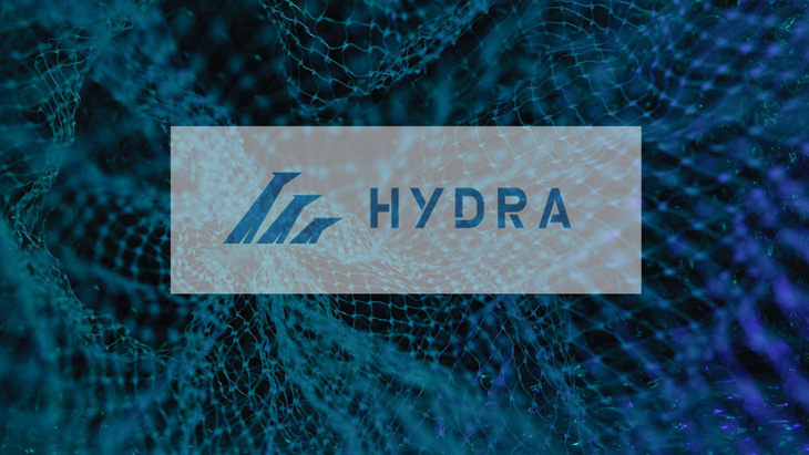 Đức đánh sập máy chủ của thị trường chợ đen trực tuyến Hydra - Ảnh 1.