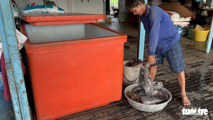 Kết quả bước đầu nguyên nhân khiến hàng trăm tấn cá chết bất thường ở làng bè Châu Đốc - Ảnh 1.