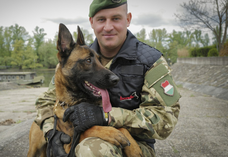 Chú chó bị ngược đãi gia nhập quân đội Hungary, có biệt tài ngửi thuốc nổ - Ảnh 1.