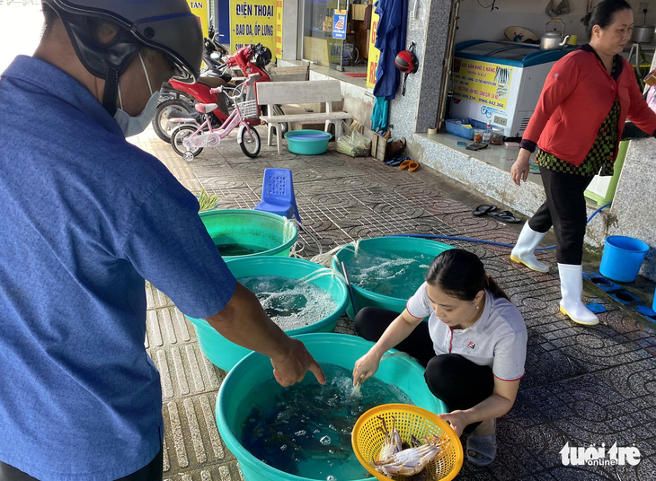 Vũng Tàu: khách không đông, giá hải sản chỉ tăng nhẹ - Ảnh 2.