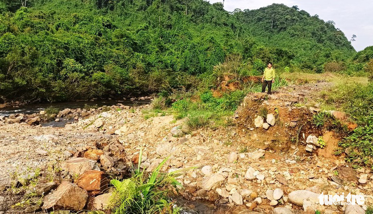 Cao tốc xuyên vườn quốc gia được mở, kiểm lâm hết lối tuần tra rừng - Ảnh 2.