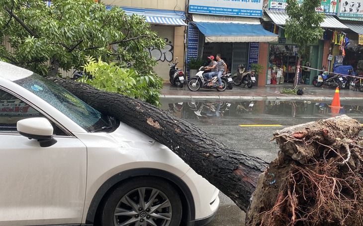 Hôm nay thời tiết chủ đạo vẫn là mưa