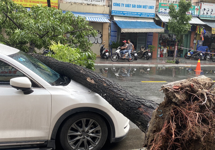 Hôm nay thời tiết chủ đạo vẫn là mưa - Ảnh 1.