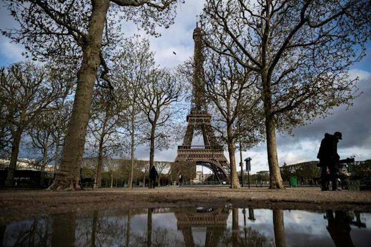 Tòa thị chính Paris  đốn 42 cây xanh, trong đó có hai cổ thụ trăm tuổi, dư luận phản ứng mạnh - Ảnh 1.