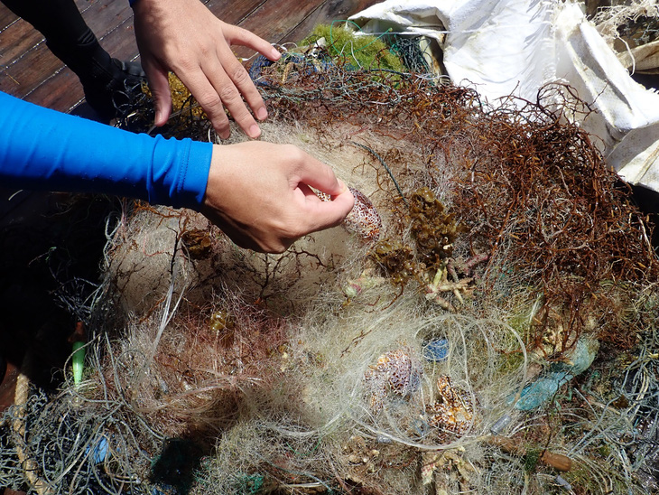 Nỗi đau san hô chết ở vịnh Nha Trang: Cứu ngay bây giờ hoặc không bao giờ! - Ảnh 6.