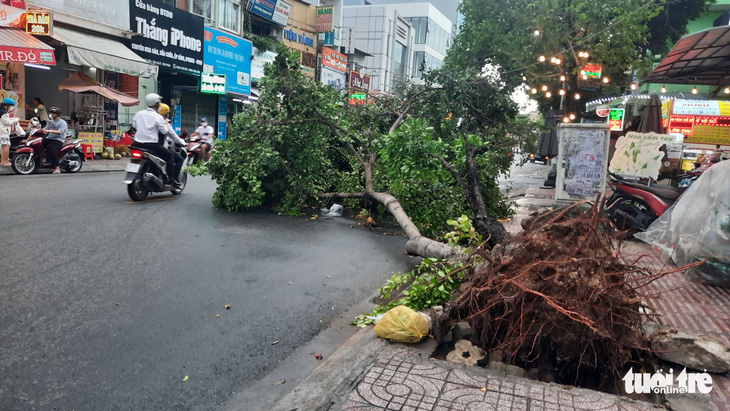 TP.HCM xuất hiện mưa đá, sấm chớp giữa trưa - Ảnh 2.