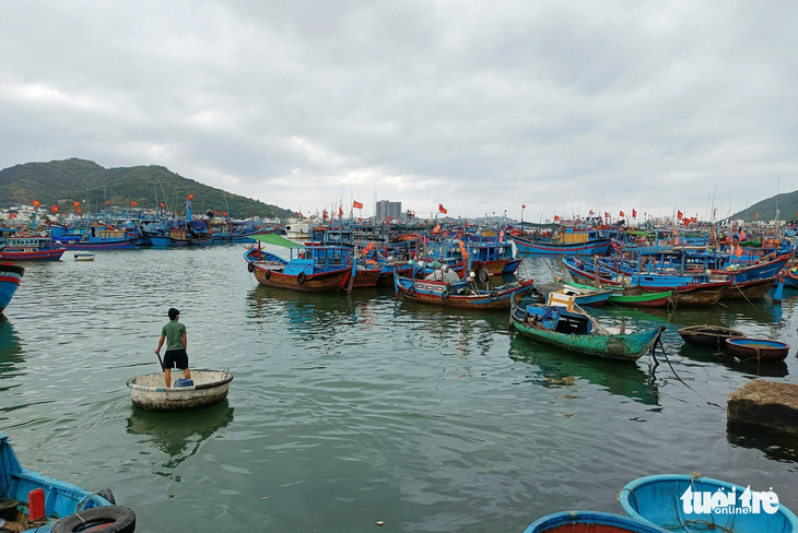 Tàu cá nằm bờ, chờ giá dầu giảm - Ảnh 1.